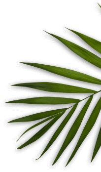 Restaurant decoration